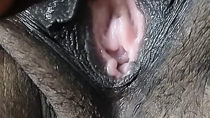 Intense Close-Up Van Het Zwarte Poesje Dat Gevingerd En Gekust Wordt