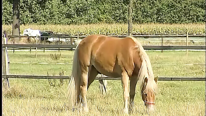 Tiener Met Grote Tieten Geniet Van Zichzelf In Het Bos